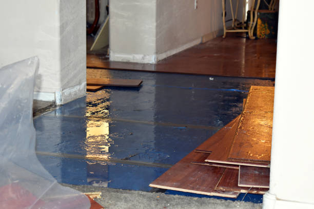 Professional Water Extraction technician working in Ralls, TX